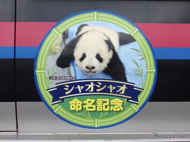 京成・双子パンダヘッドマーク大集合！