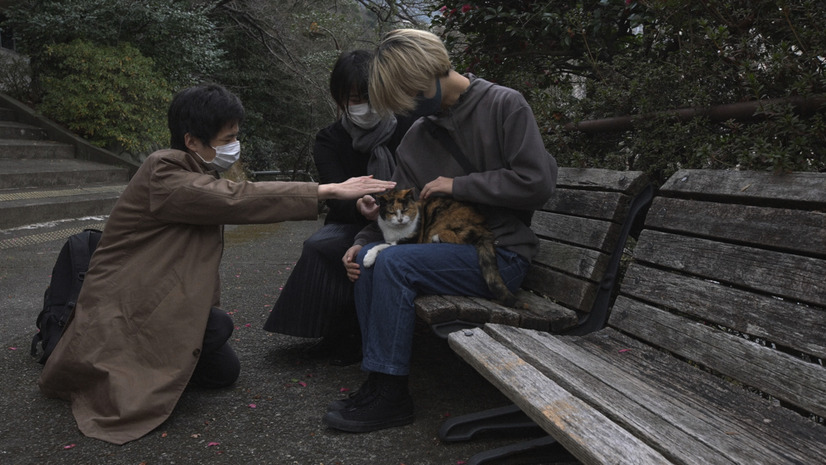 （C）NHK