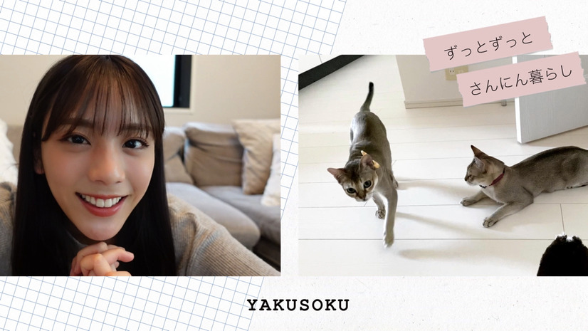 写真は貴島明日香の公式YouTubeチャンネル「あすかさんち。」より