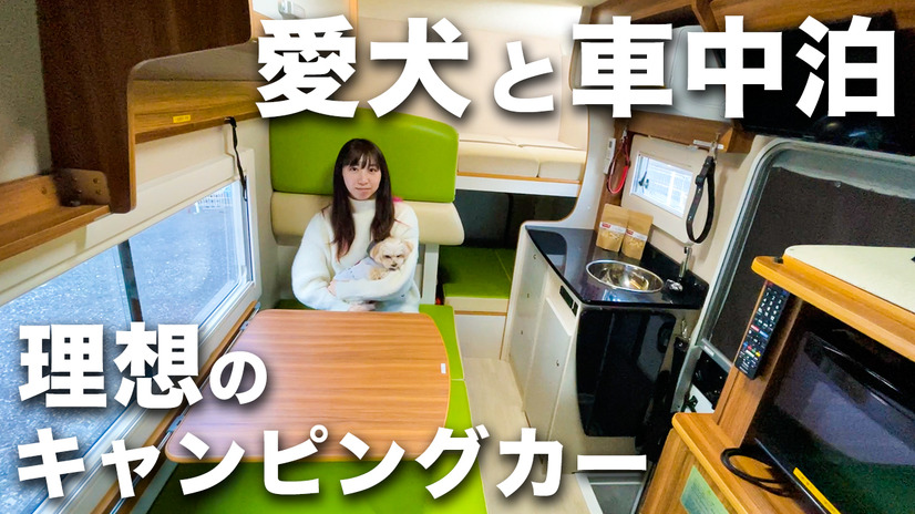 【車中泊】ペット専用キャンピングカー「Pet-RV」で愛犬とテレワーク車中泊