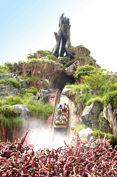 スプラッシュ・マウンテン（C）Disney