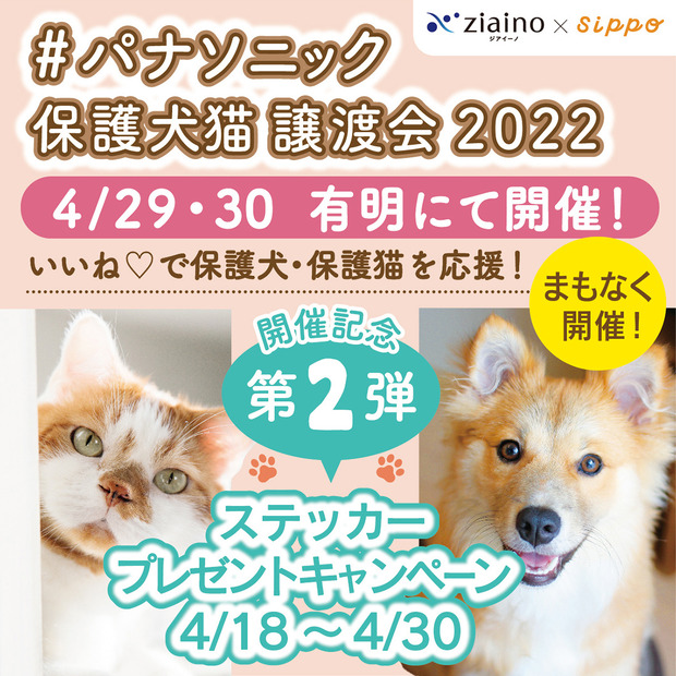 パナソニック、「保護犬猫譲渡会」開催！来場時にステッカーがもらえるSNSキャンペーンも