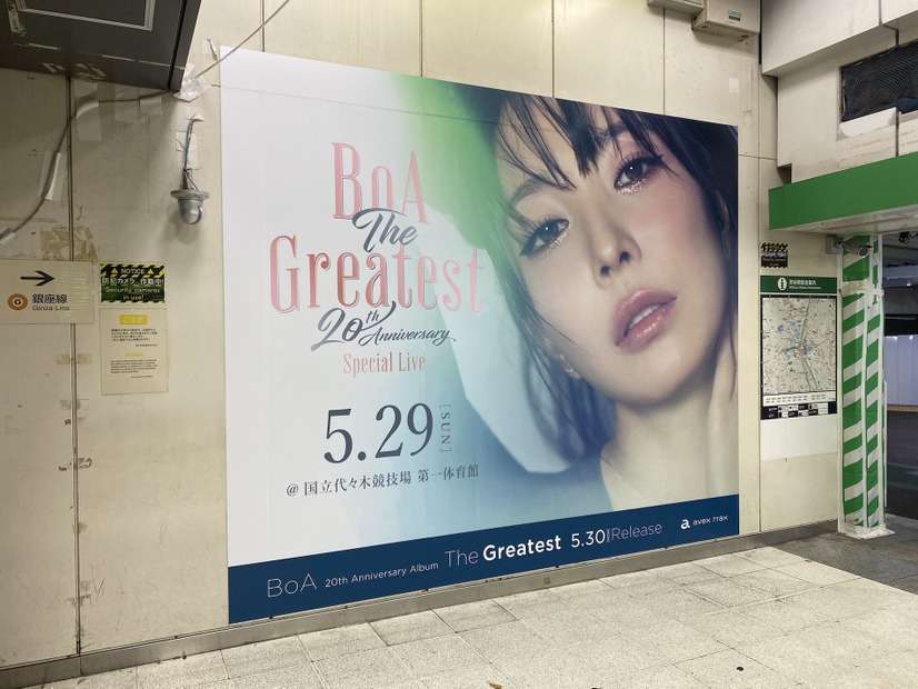 BoA