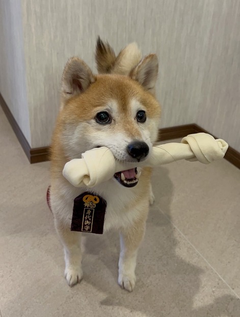 （C）フジテレビ