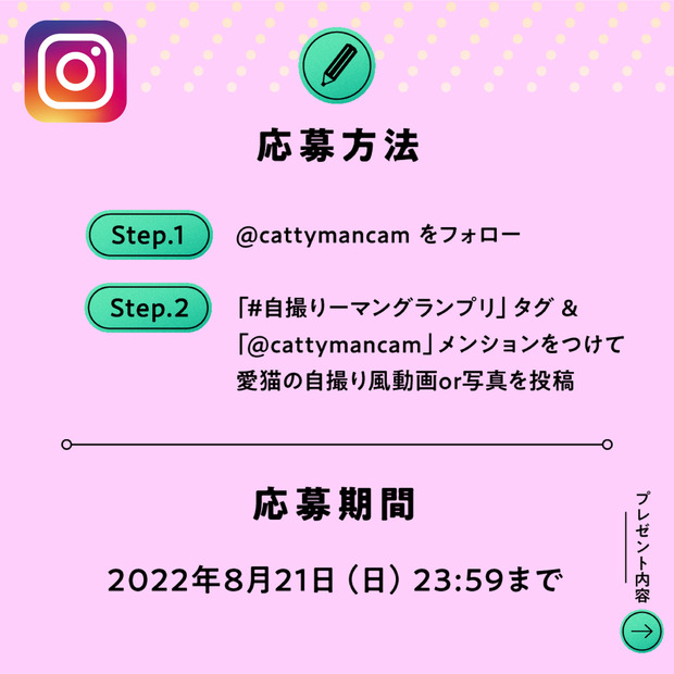 “うちのコ”がドギーマンのWEB CMに？！動画・写真募集キャンペーンスタート