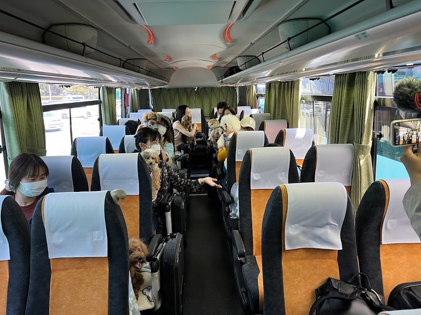 【GO WITH わんこツアー】わんこと一緒に機内に初搭乗！長崎のリゾート地へ～1日目