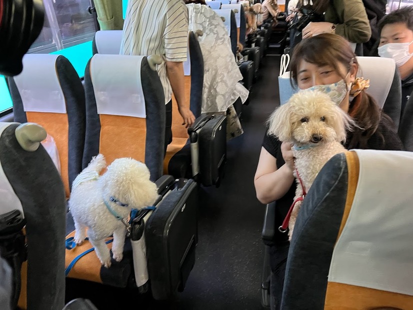 【GO WITH わんこツアー】わんこと一緒に機内に初搭乗！長崎のリゾート地へ～1日目