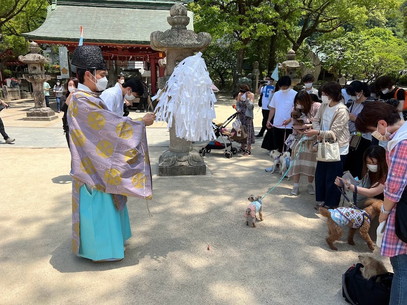 【GO WITH わんこツアー】わんこと一緒に機内に初搭乗！長崎のリゾート地へ～1日目