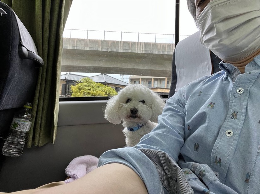 【GO WITH わんこツアー】わんこと一緒に機内に初搭乗！長崎のリゾート地へ～1日目