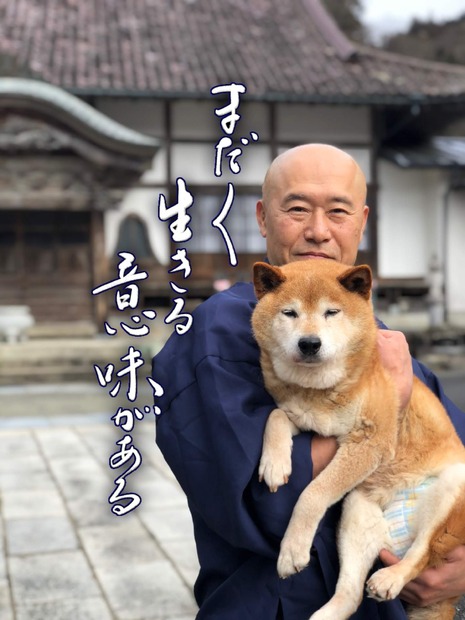 岩手県一関市の常堅寺、ペットの盆供養祭をオンラインで無料開催