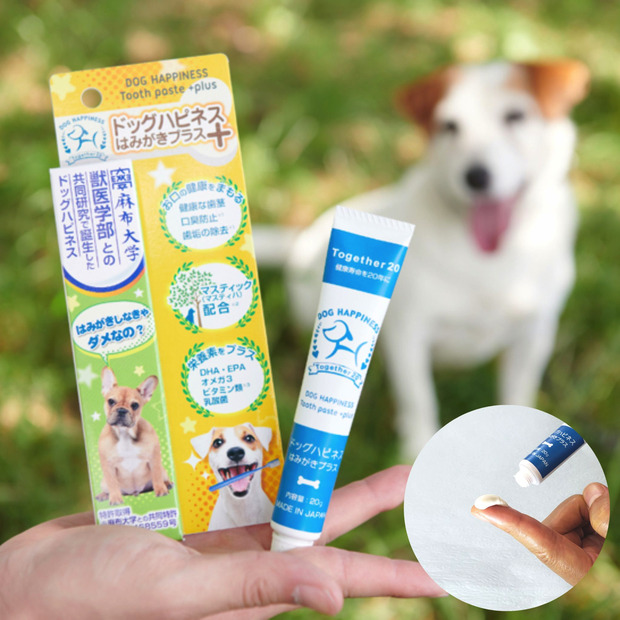 犬のオーラルケアの重要性を解説　「ドッグハピネス」公式サイトオープン