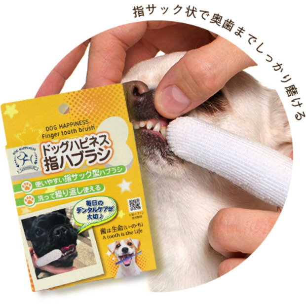 犬のオーラルケアの重要性を解説　「ドッグハピネス」公式サイトオープン