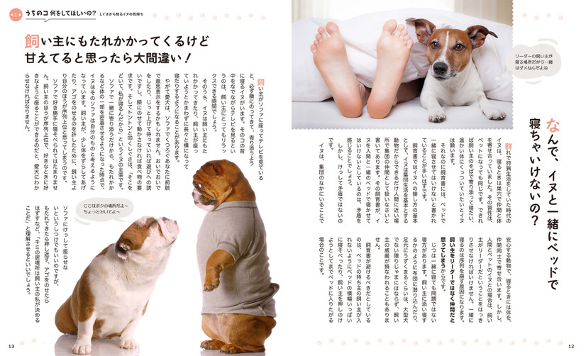 『新装版イヌの気持ちがおもしろいほどわかる本』（扶桑社）
