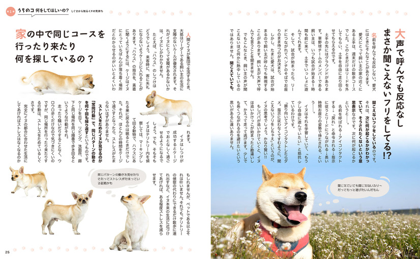 『新装版イヌの気持ちがおもしろいほどわかる本』（扶桑社）