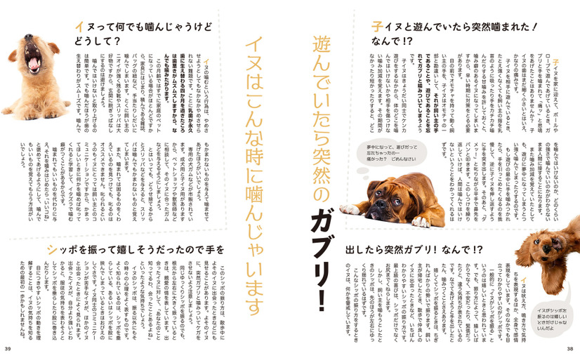 『新装版イヌの気持ちがおもしろいほどわかる本』（扶桑社）