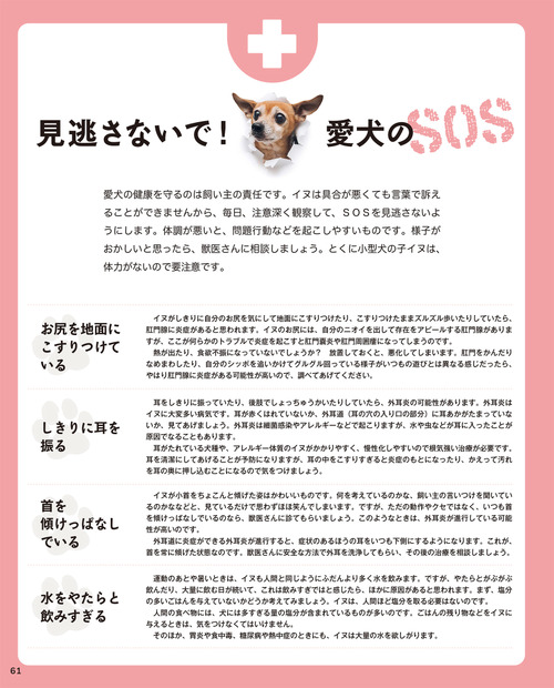 『新装版イヌの気持ちがおもしろいほどわかる本』（扶桑社）