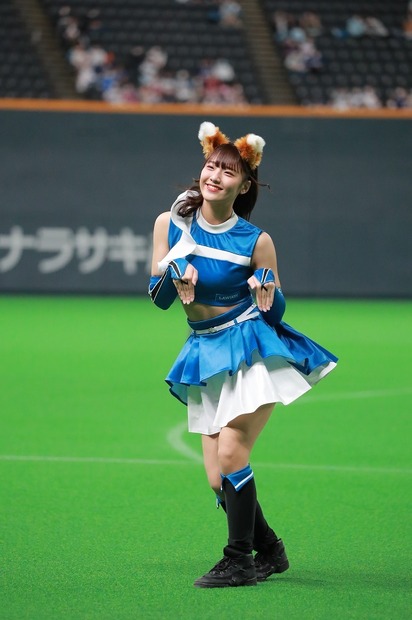 ファイターズガール