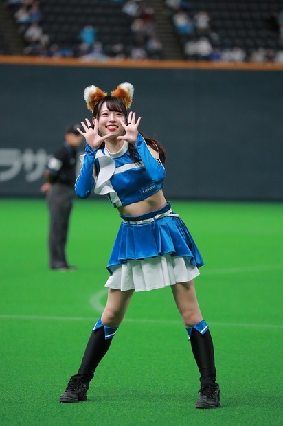 ファイターズガール