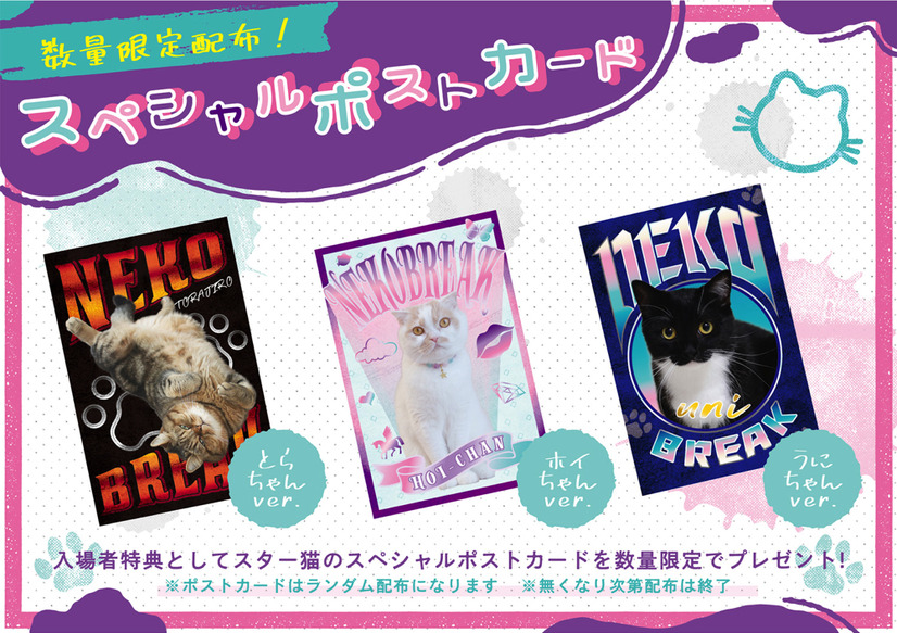 「ねこ休み展」秋の新作展が名古屋で17日から開催