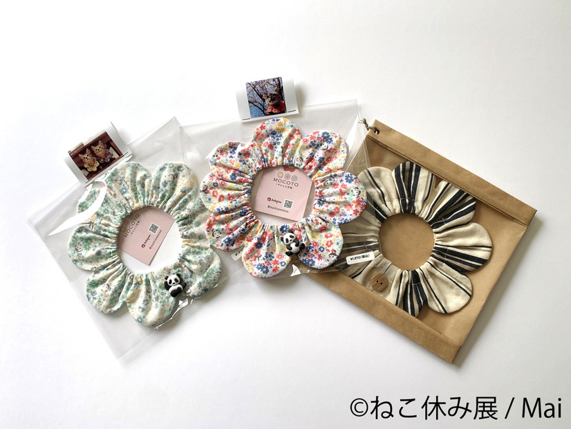 「ねこ休み展」秋の新作展が名古屋で17日から開催