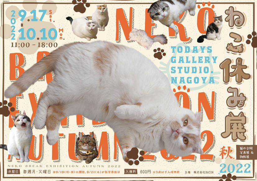 「ねこ休み展」秋の新作展が名古屋で17日から開催