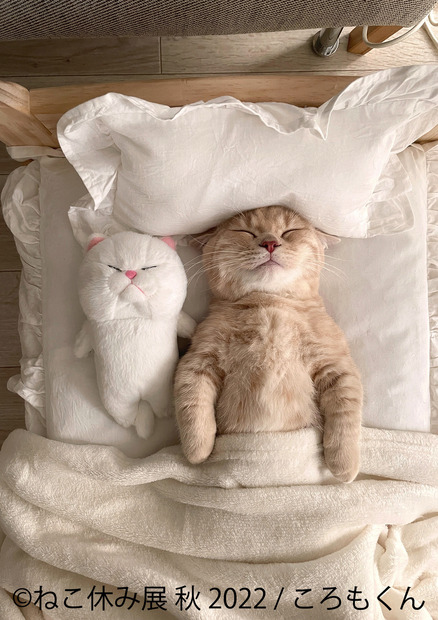 「ねこ休み展」秋の新作展が名古屋で17日から開催