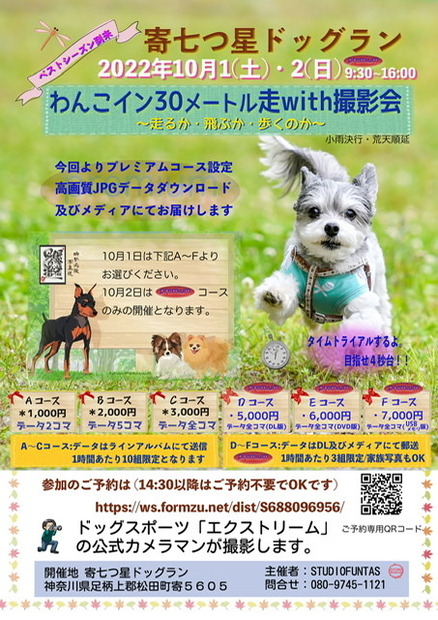 寄七つ星ドッグラン
