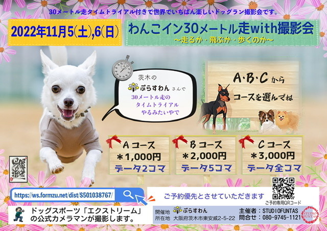 寄七つ星ドッグラン