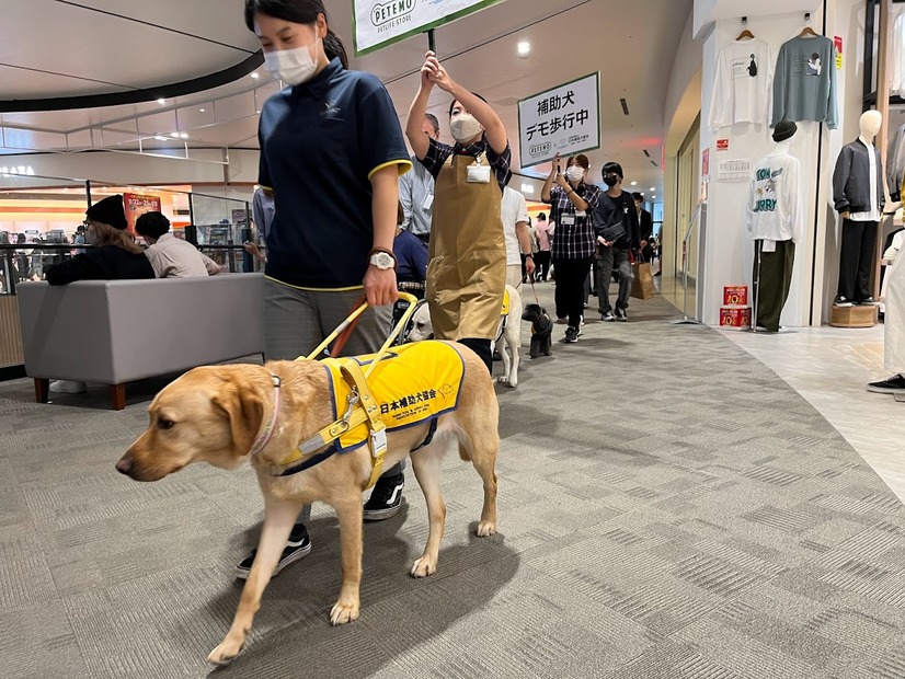 補助犬の認知向上目指す！イオンモールで歩行デモンストレーション