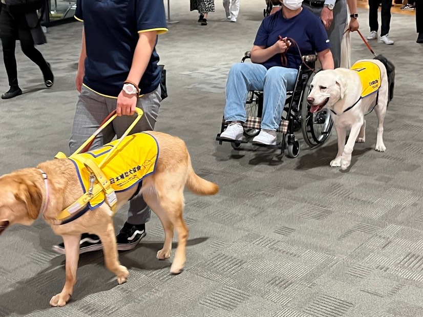 補助犬の認知向上目指す！イオンモールで歩行デモンストレーション