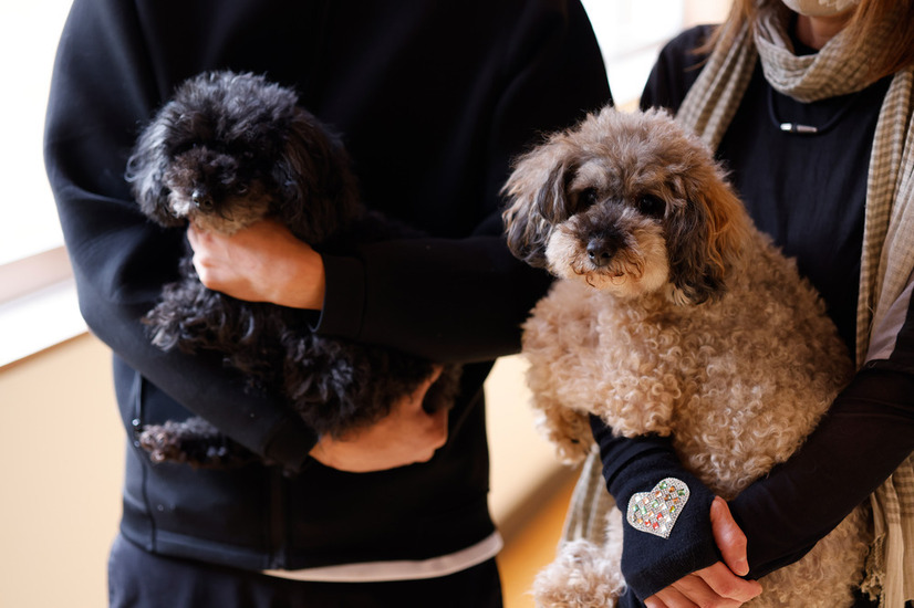 愛犬同伴で特製ケーキプレゼント