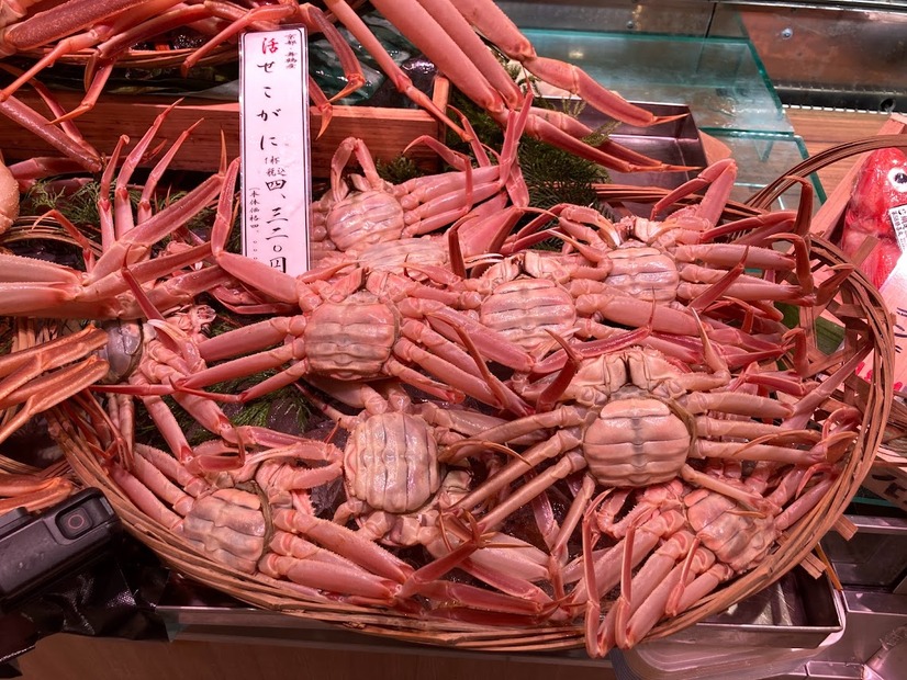 阪神梅田本店で「松葉ガニ」販売スタート！7日は「理由ありガニ」が格安で登場