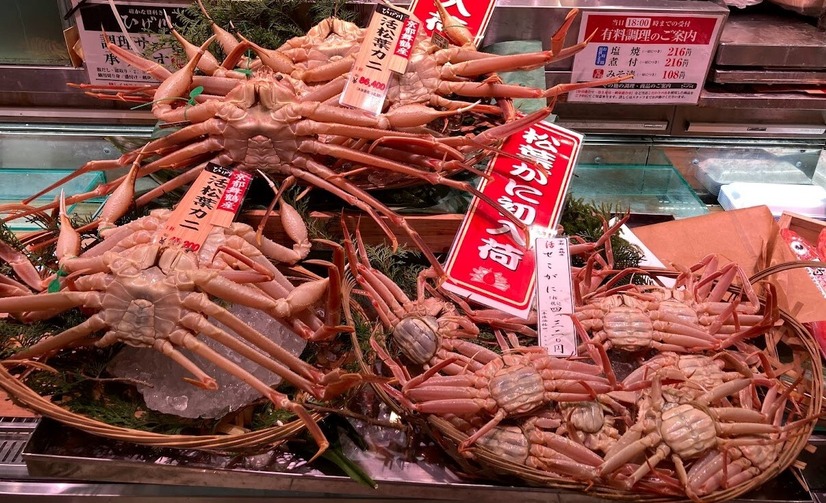 阪神梅田本店で「松葉ガニ」販売スタート！7日は「理由ありガニ」が格安で登場