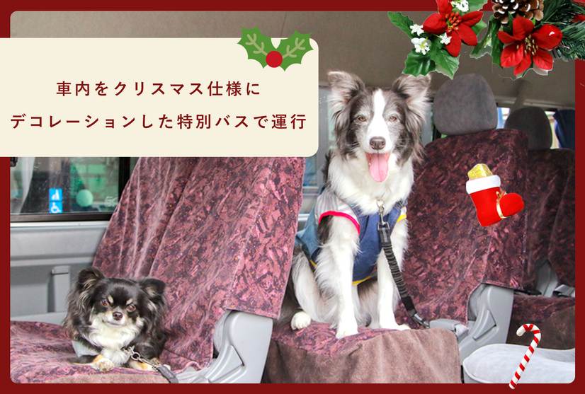 クリスマス特別仕様のバス
