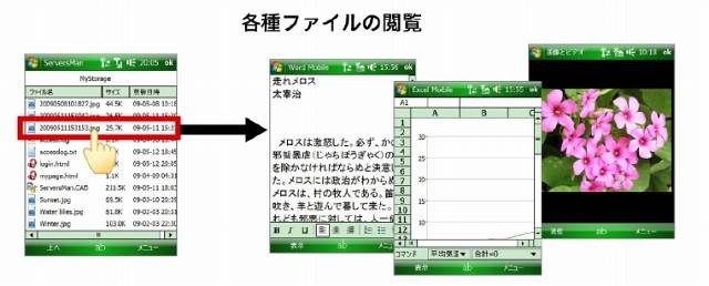 File Viewer