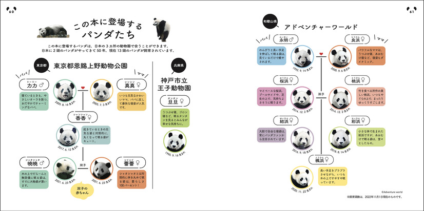 写真集『ねパンダ』（c）主婦の友社