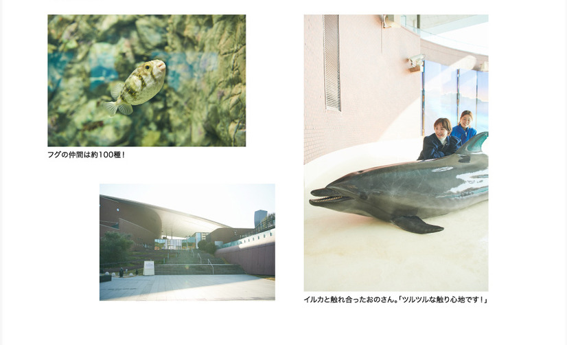 『月刊 旅色』2023年1月号（ブランジスタメディア）