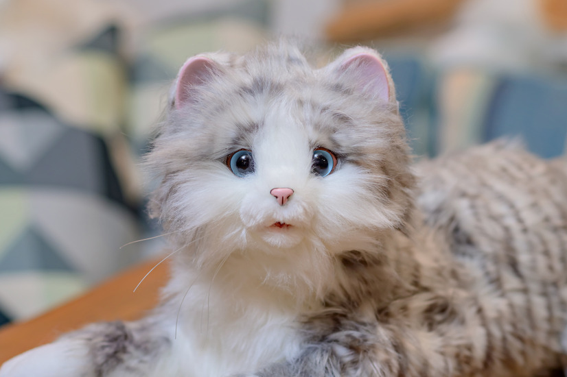 しっぽふりふり あまえんぼうねこちゃん