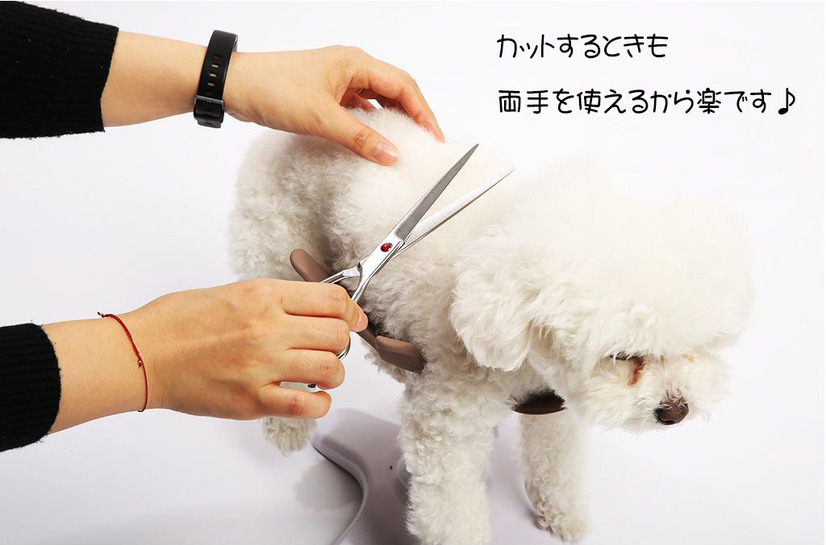 サムソン・サロン