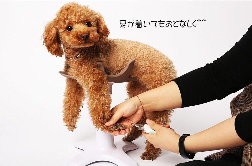 サムソン・サロン
