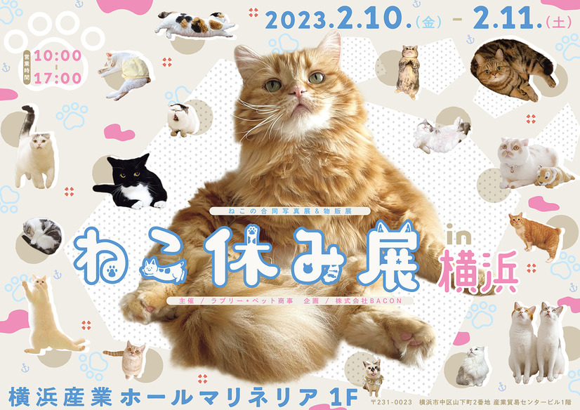 ねこ休み展 2023 in 横浜