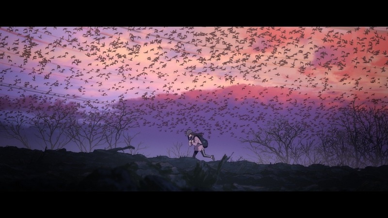 （c）カラー