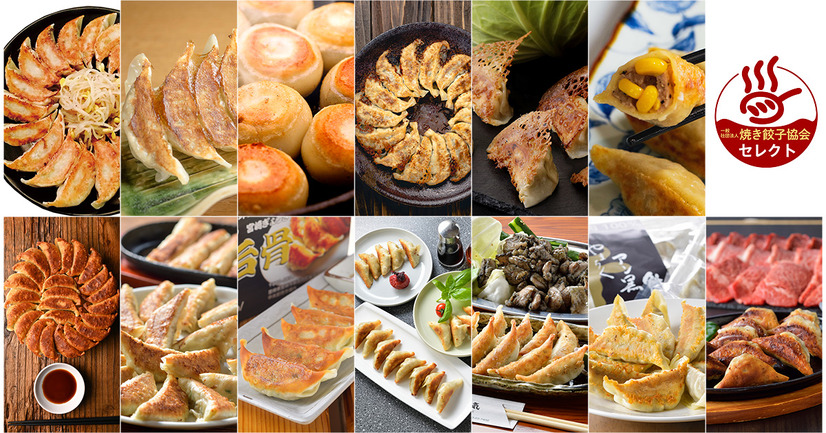 餃子フェス