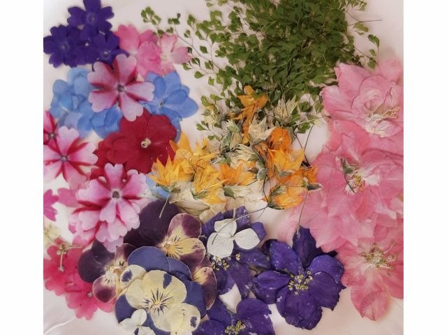 大牟田「花と木工のインテリアづくり」