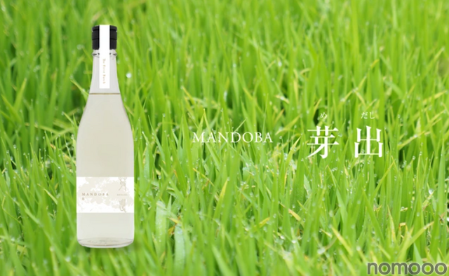 新潟のデザイン会社らが造る農薬・化学肥料不使用日本酒「MANDOBA」がMakuakeにて販売中!