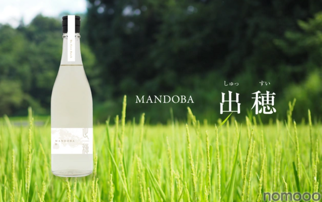 新潟のデザイン会社らが造る農薬・化学肥料不使用日本酒「MANDOBA」がMakuakeにて販売中!