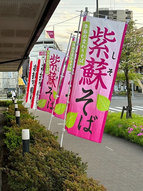 「紫蘇そば」の絶品セットメニュー！おかわりしたくなる「アジごはん」