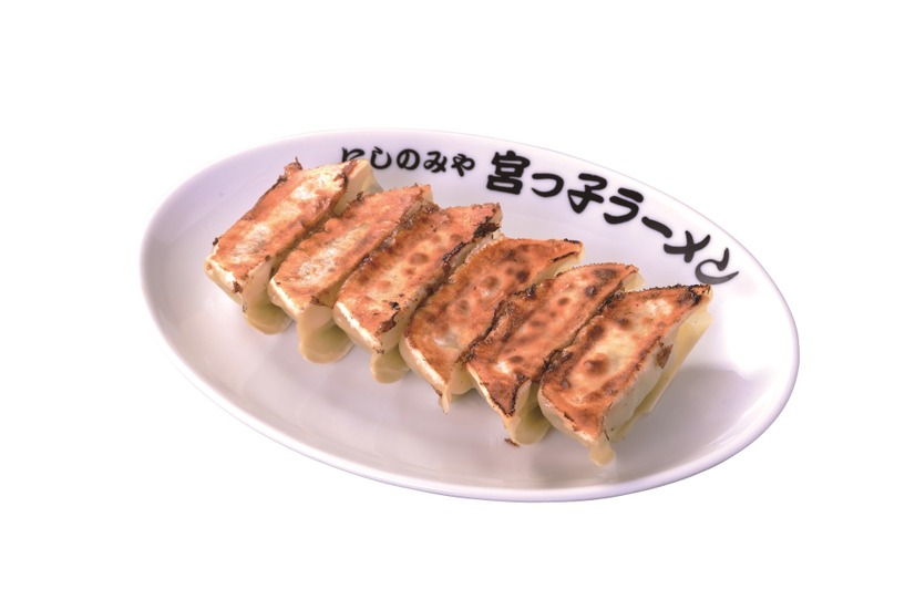 野菜たっぷりギョーザ