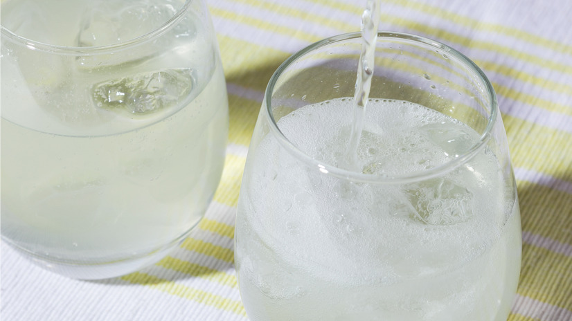 発酵ゆずハードセルツァーの素