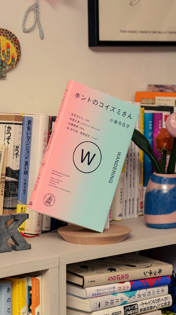 『ホントのコイズミさん WANDERING』（303BOOKS）